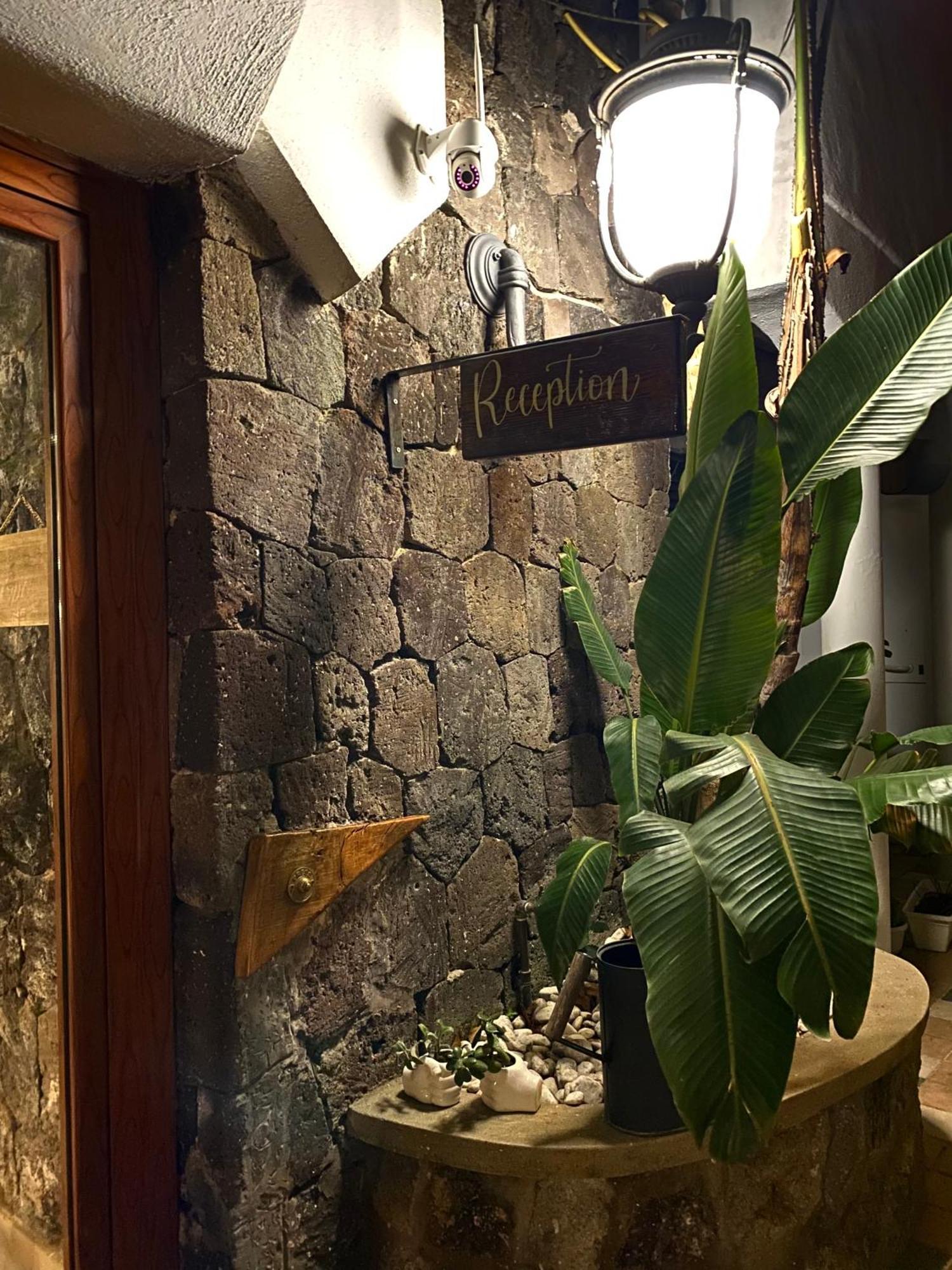 Black Market Hotel 伊斯基亚 外观 照片